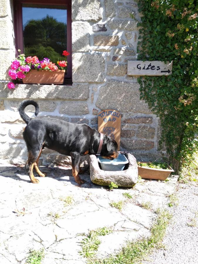 Holiday home Domaine De Lesvaniel *